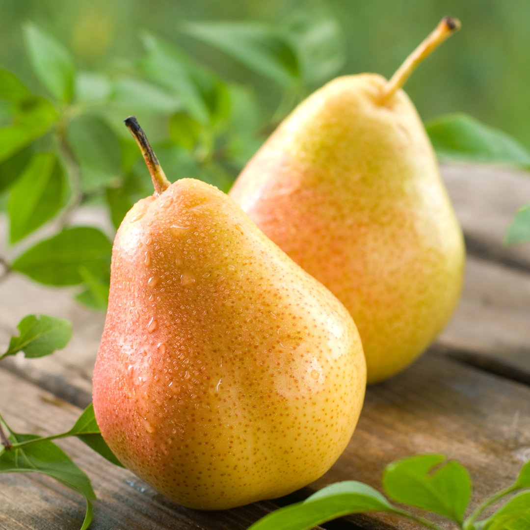Asian Pear Lip Balm